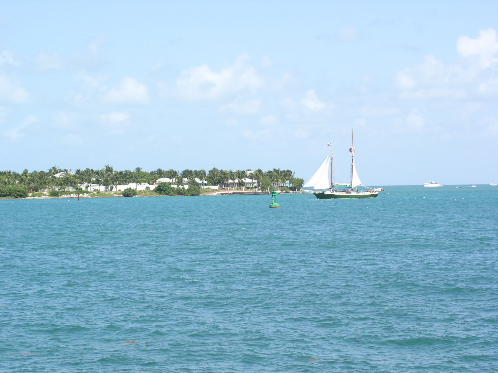 photo1